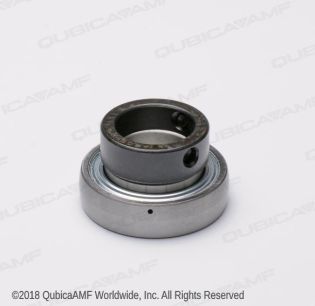 000021905 1.25 X 2.4409 BEARING BL