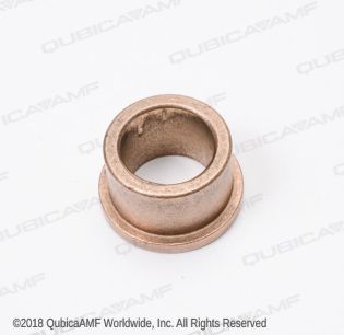 302909500 FLANGE BEARING